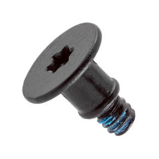 Apple Camera Screws